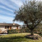Agriturismo Panorama d'Incanto — Assisi